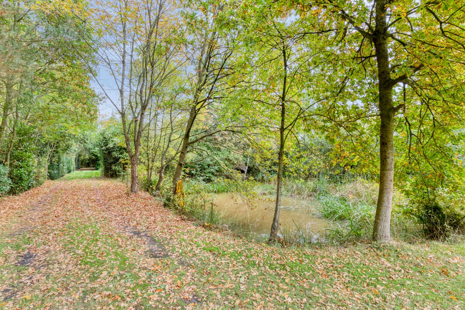 Uniek perceel van 2 ha. en 34 are met 3 prachtige vijvers 