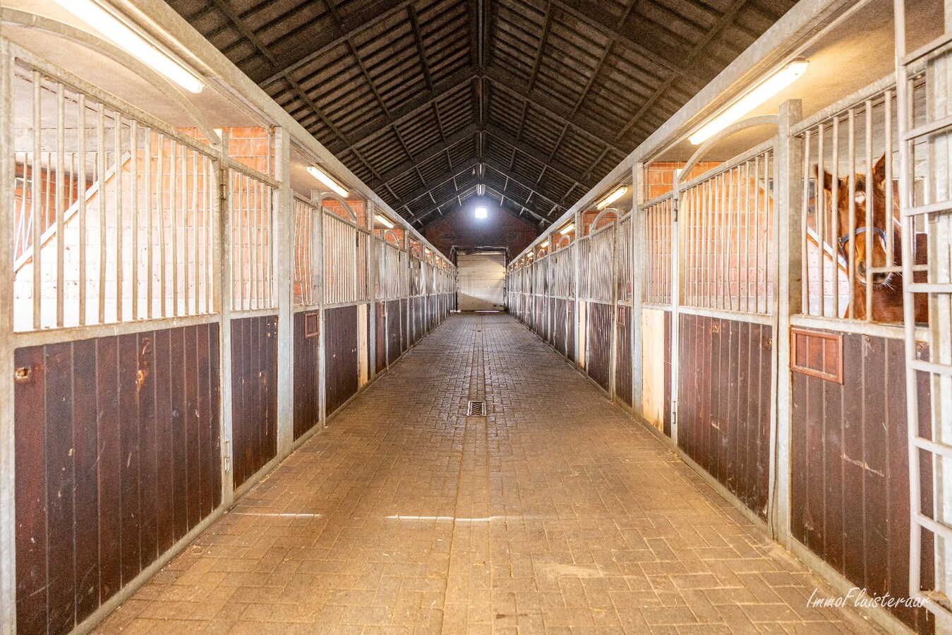 Stoeterij ‘De Roshoeve’ op ca. 5,9 ha te Geel 