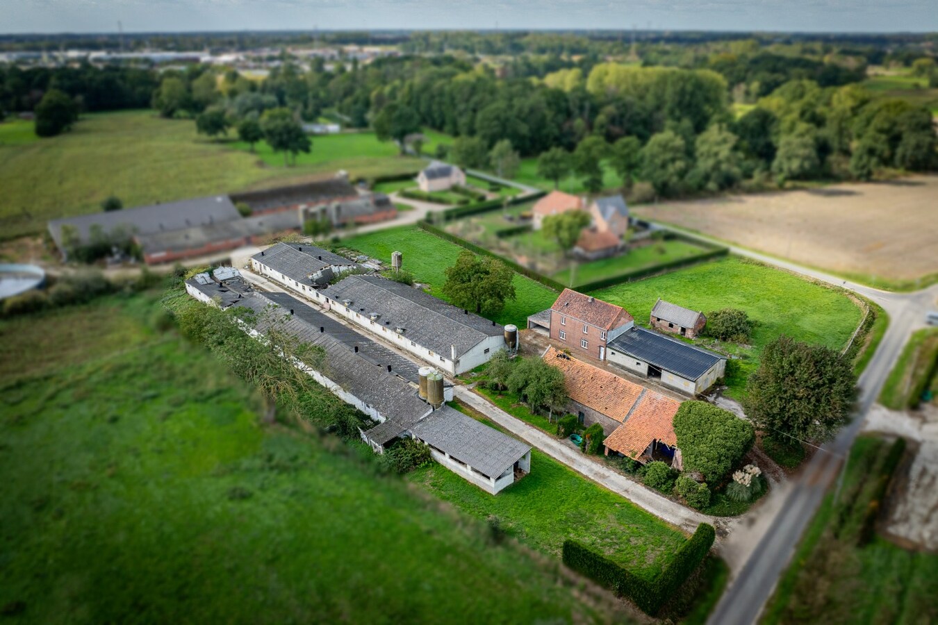 Hoeve met stalgebouwen op ca. 1ha te Bree 