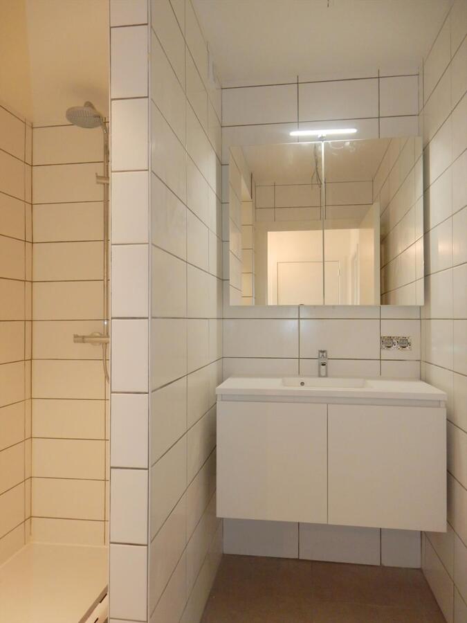 Lichtrijk duplexappartement met 3 slaapkamers 