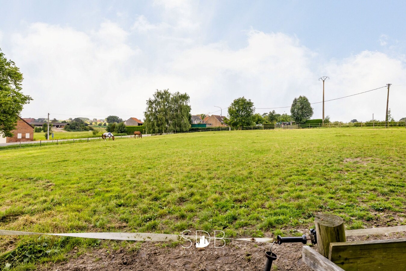 Hedendaagse woning met hippisch complex op circa 2hectare 