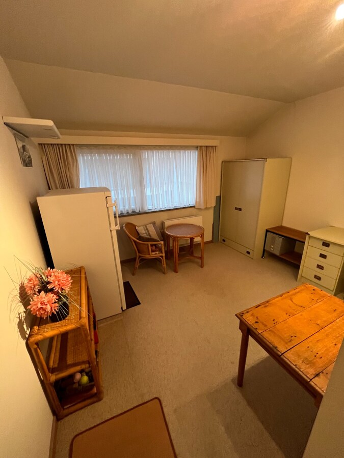 Lichtrijk en ruim appartement met garage (EPC: B) 