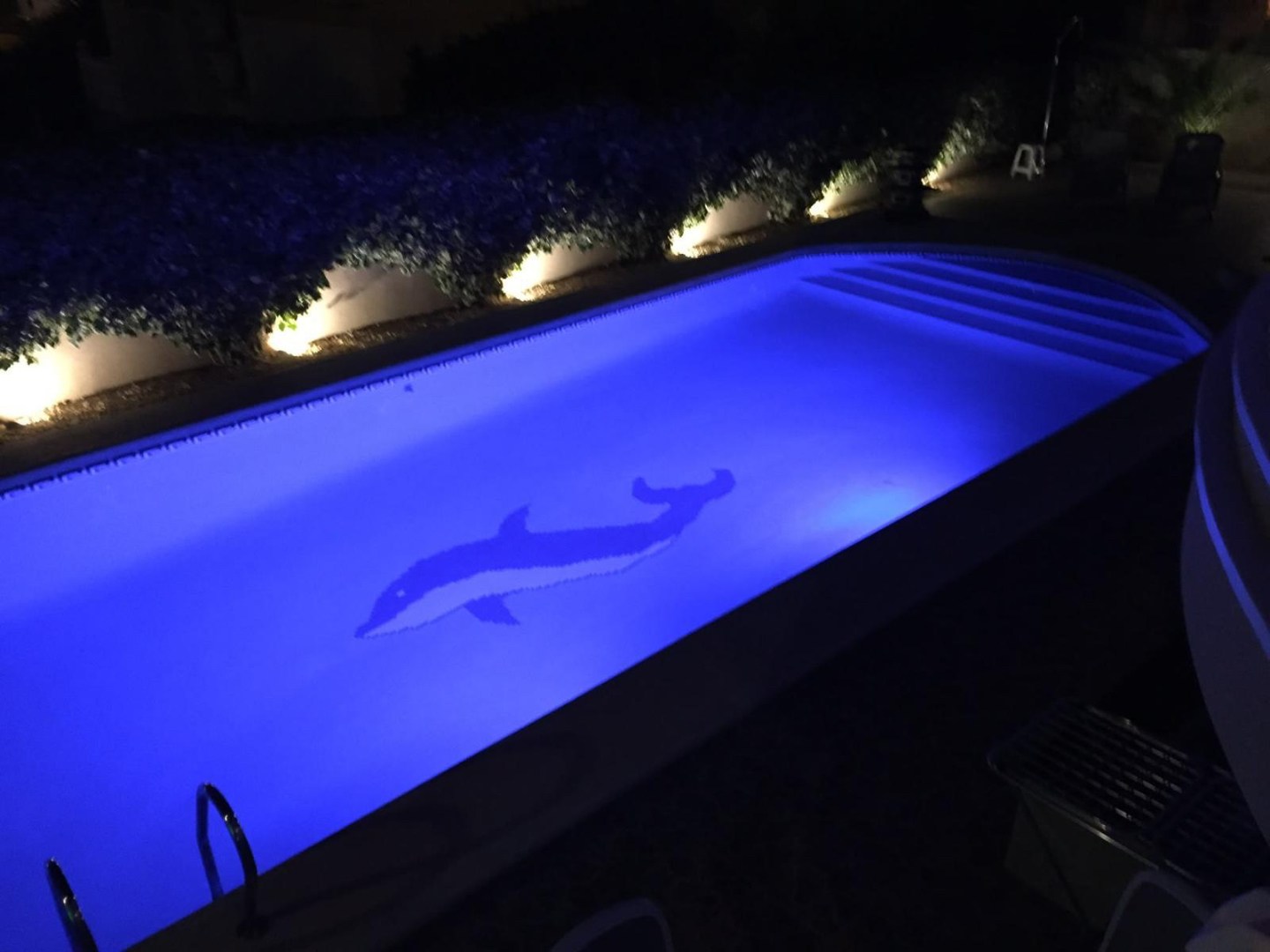 Zwembad 10m x 4m