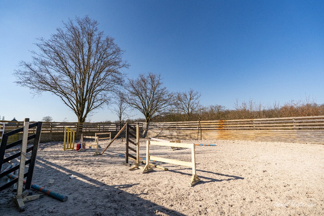 Complete paardenaccommodatie met studio op ca. 1,1ha te Bree 
