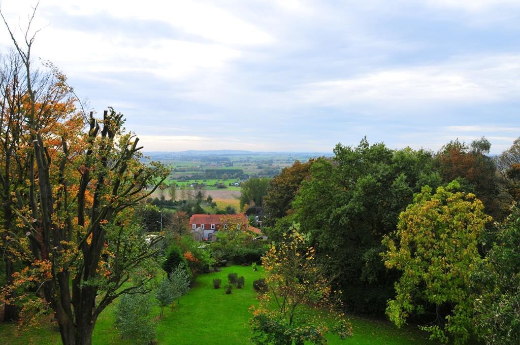 Appartement 1 slaapkamer in het Kluisbos 