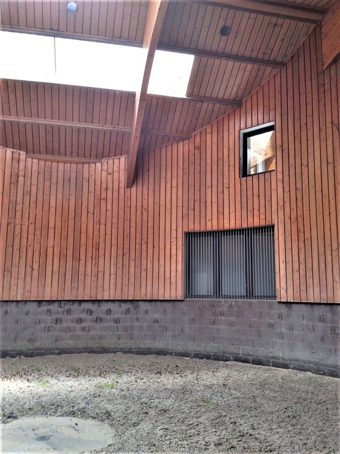 Villa avec infrastructures équestres, piscine, court de tennis, piste de trot et prairie sur environ 2ha65a à Huldenberg (Brabant Flamand) 