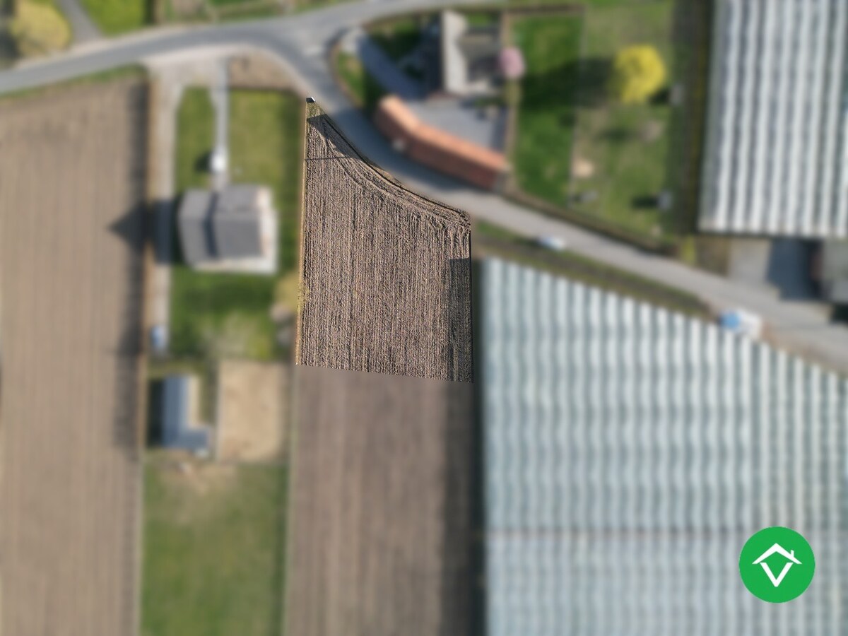 Bouwgrond (1291m²) op één rustige, gunstige ligging te Gits 