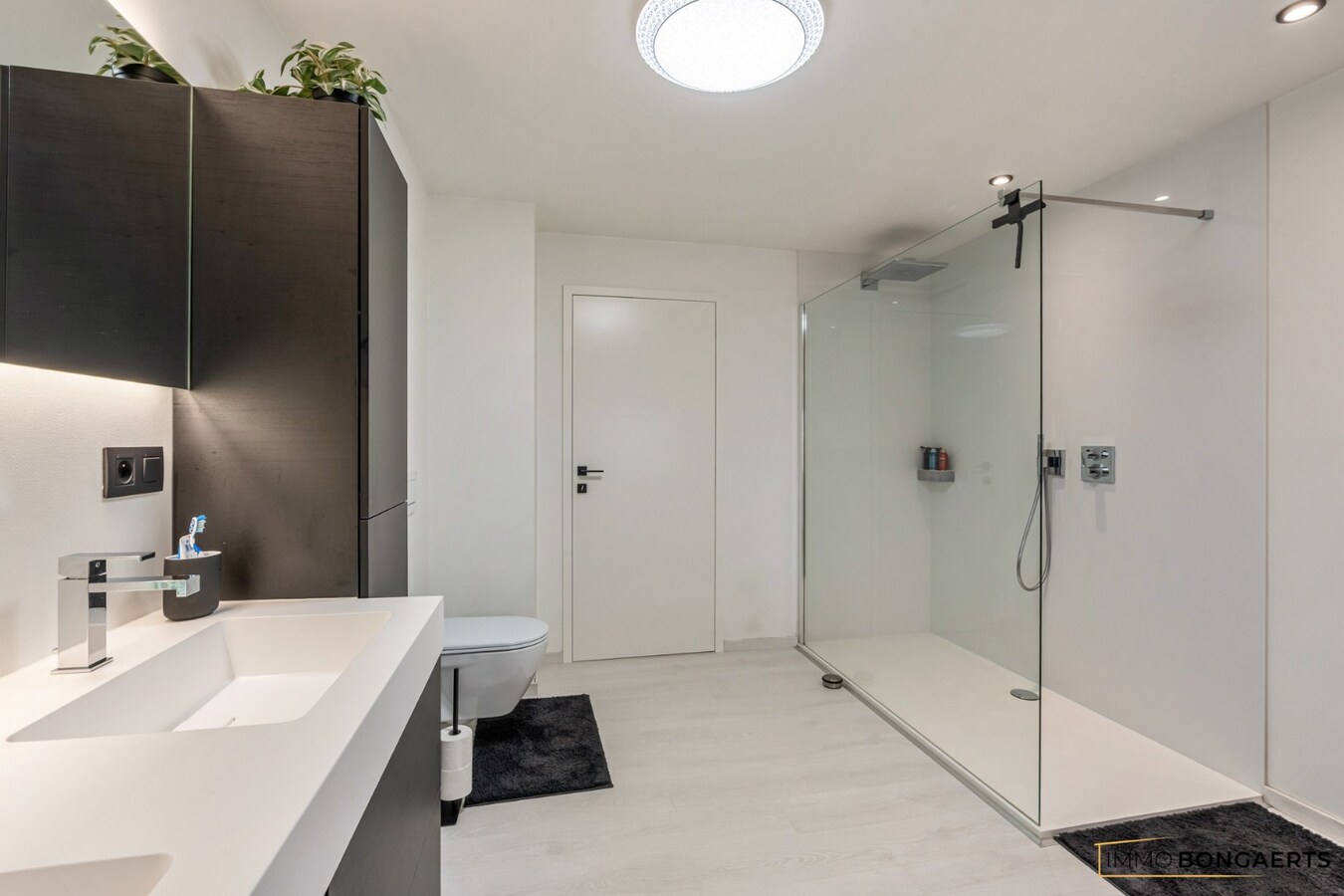 Exclusieve woning met volledig uitgeruste wellnesspraktijk nabij Hasselt 