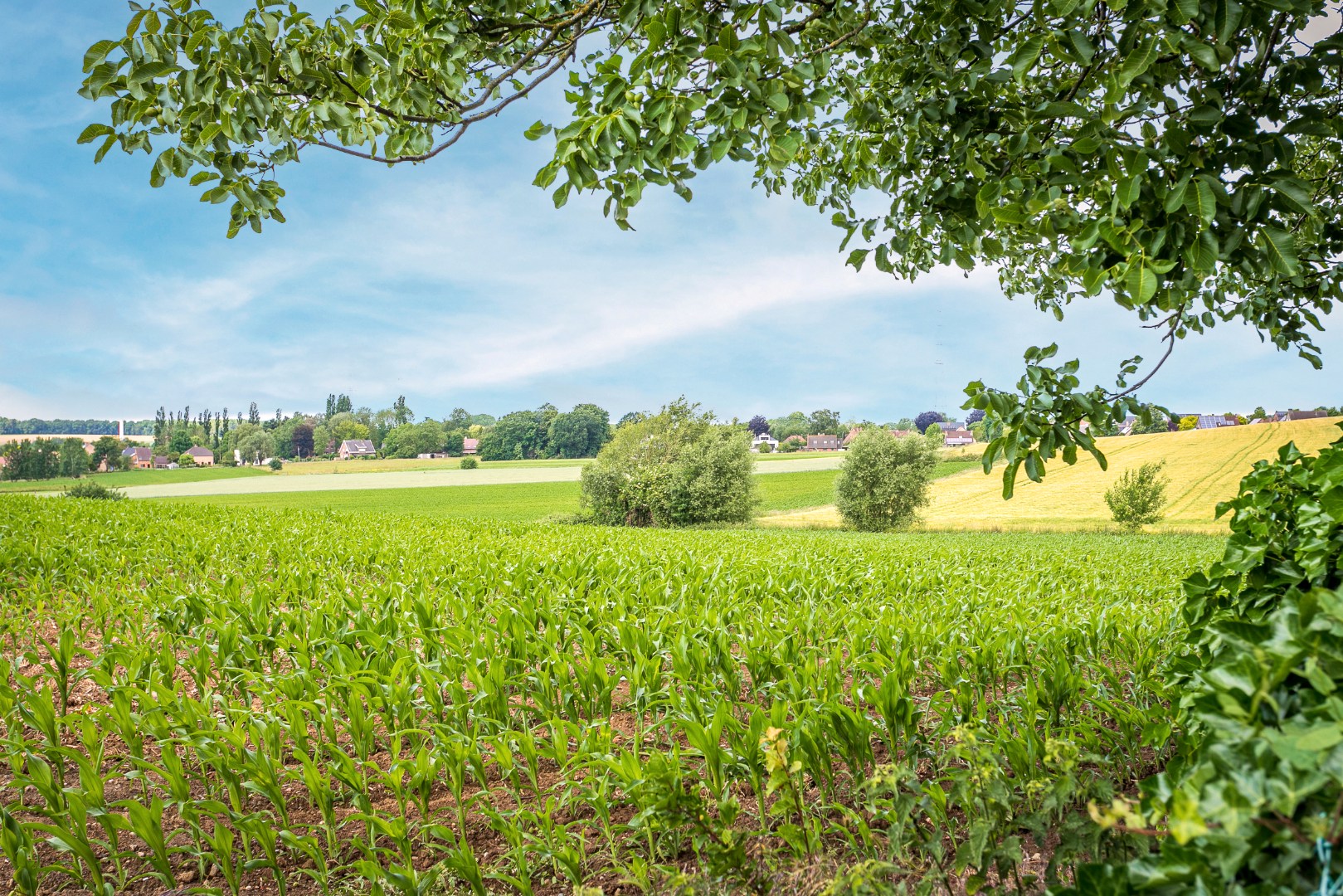 Verzorgde 3-gevelwoning met 3 slpk en tuin te Halle 