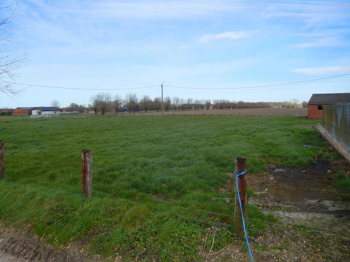 Te renoveren hoeve met stallen en weiland 