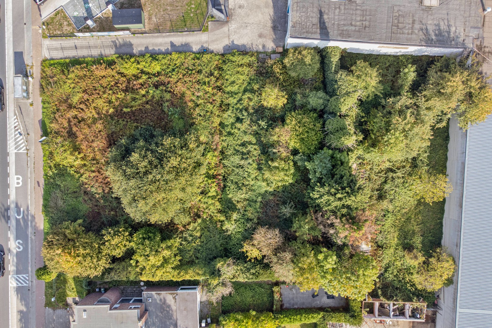 Projectgrond van 20 are 50 ca. met commerciële ligging in Geel 