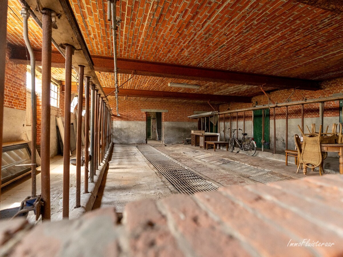 Characteristic long farmhouse with barn on approximately 4.6 hectares in Rijkevorsel. 