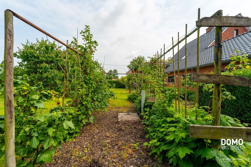 UNIEKE WONING MET 2 RUIME LOODSEN OP PERCEEL VAN 58A49CA 