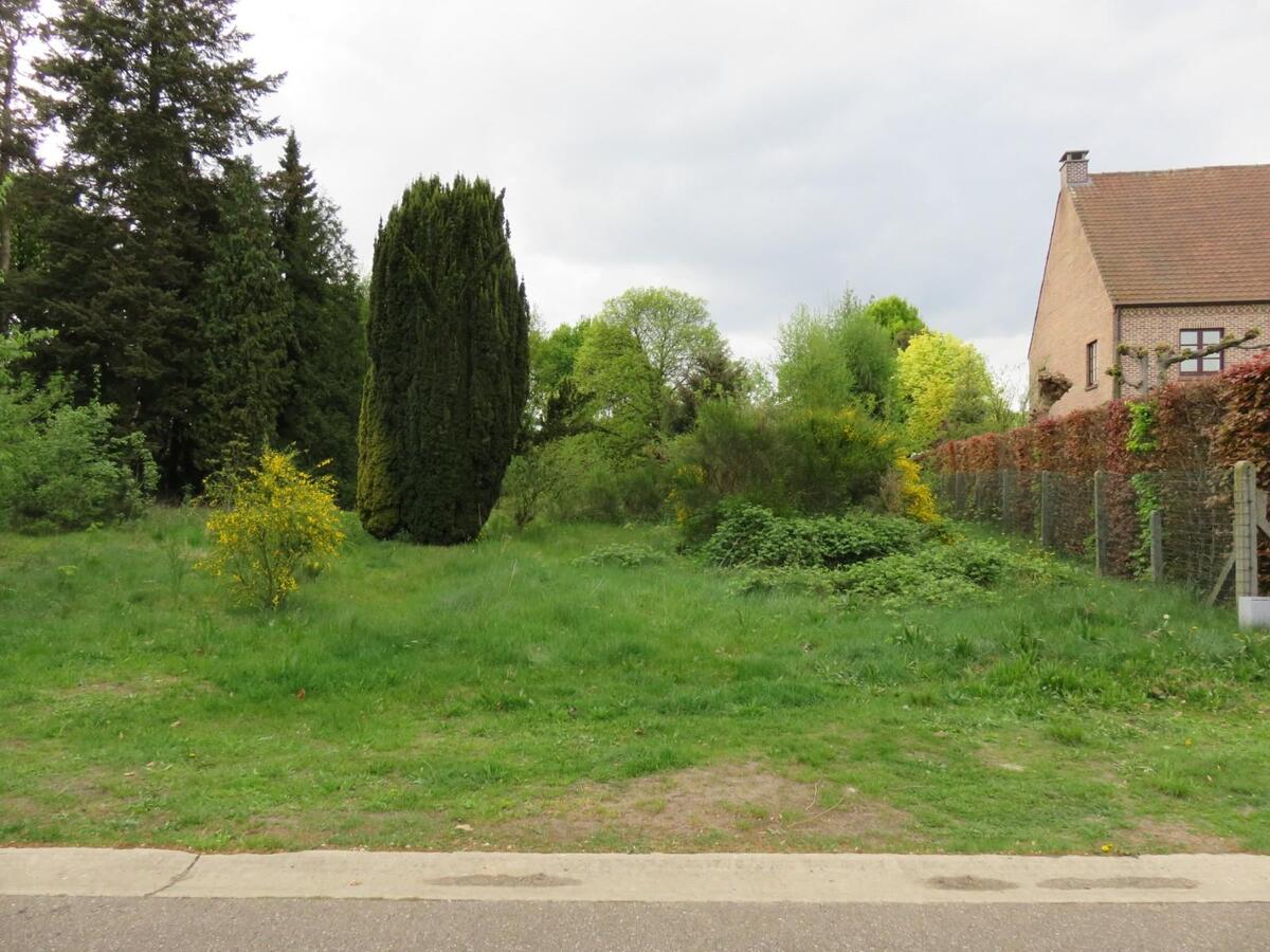 Bouwgrond open bebouwing 