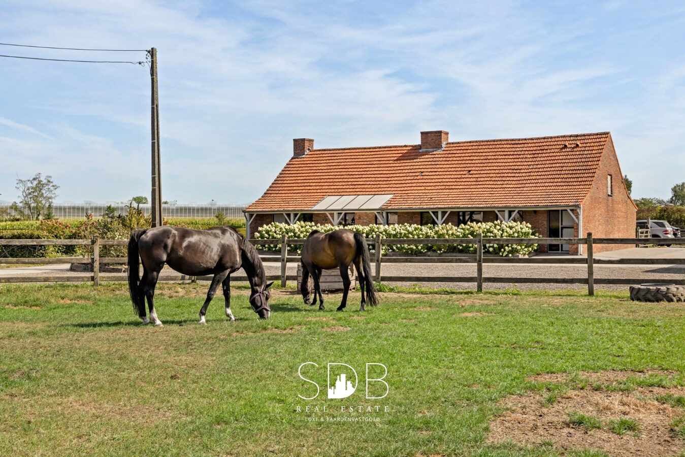 Prachtige landelijke woning met hippische accommodatie op 2,5hectare 