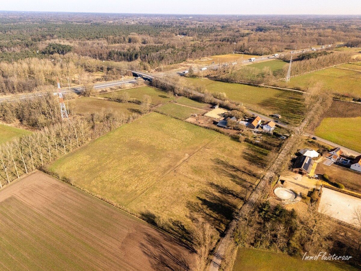 Prachtig weiland van ca. 2,5 ha te Zandhoven - NIEUWE PRIJS 