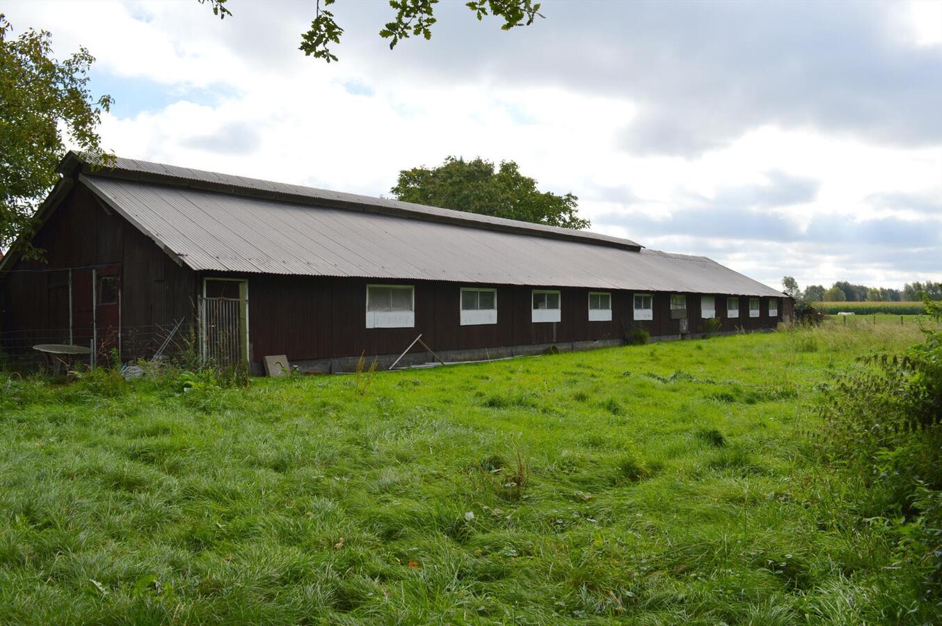 Te renoveren woning met loods en weide op 7.327m² te Zele 