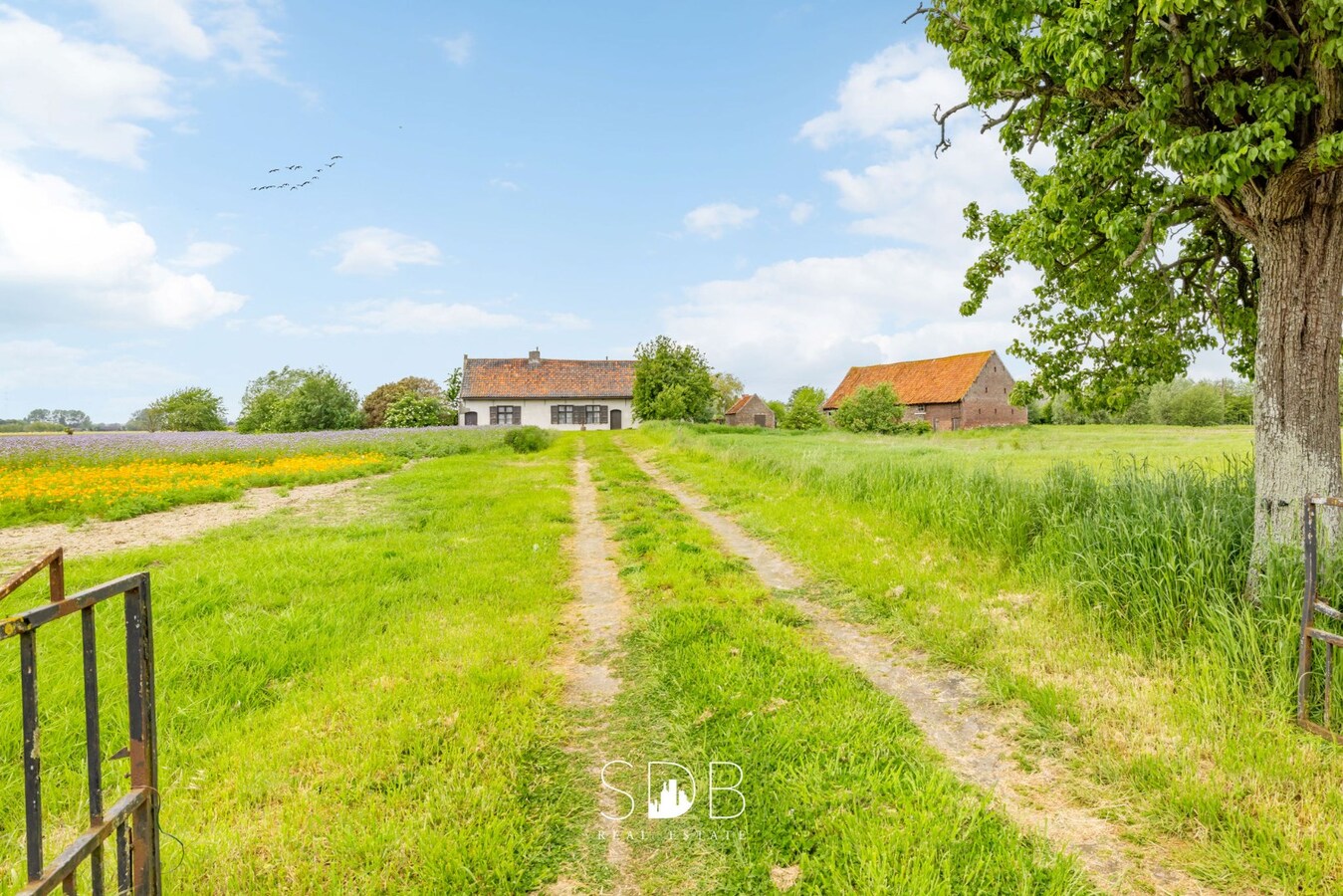 Prachtige hofstede met hoeve, bakhuisje, schuur en graslanden op circa 2,2 HA 