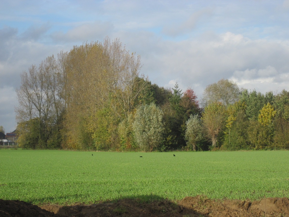Splinternieuw ruim gelijkvloers appartement. 