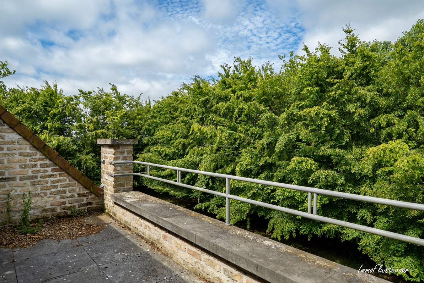 Hoogwaardige ruwbouwvilla met bijgebouw en weide 