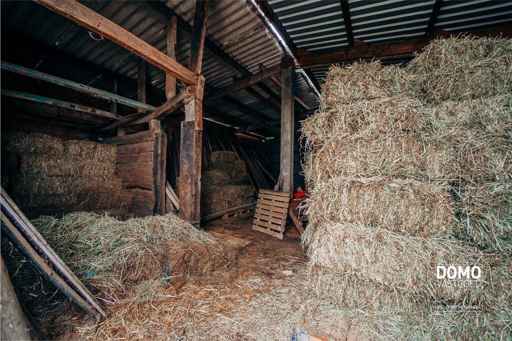 Ruime boerderij met stallingen en een prachtig groen uitzicht. 