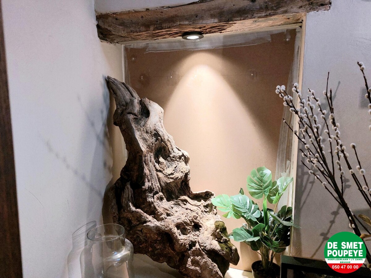 Typisch Brugse woning met stadstuin 