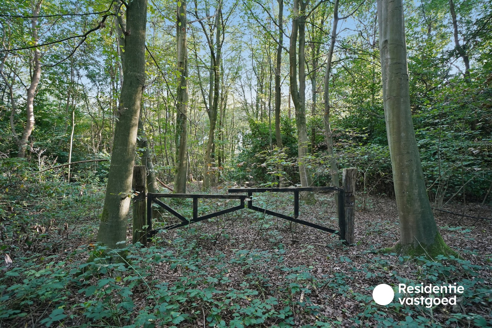 Bosgrond van 4.193 m² op rustige ligging in Sijsele 