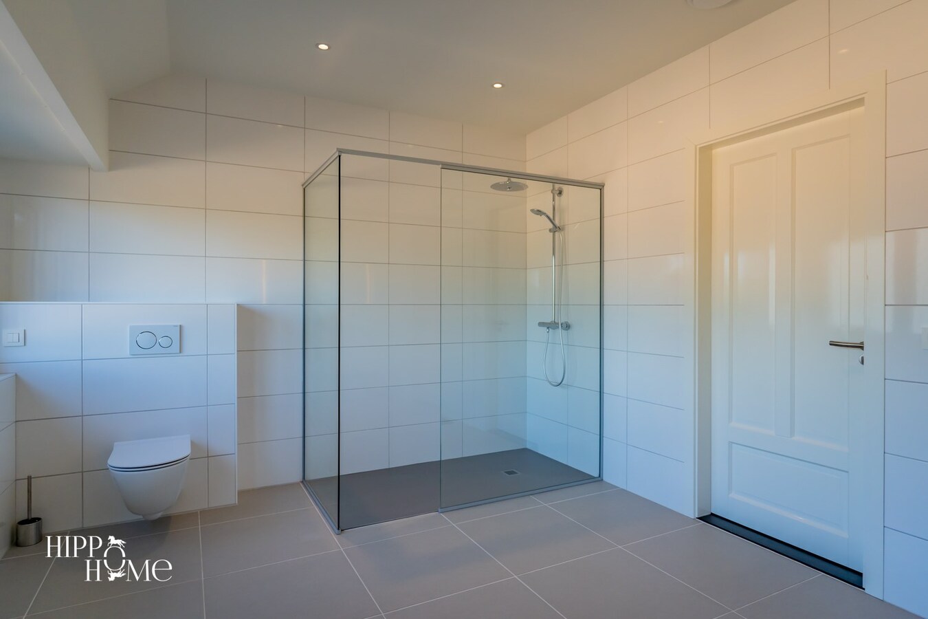 Hedendaags woning met hangar en aanpalend grasland op +/- 1,5ha 