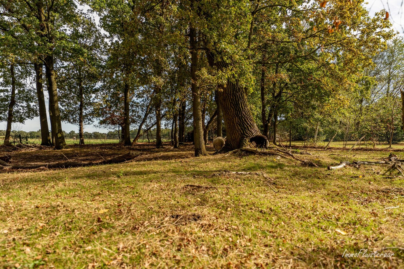 Unieke woning op ca. 6.054 m2 te Turnhout 