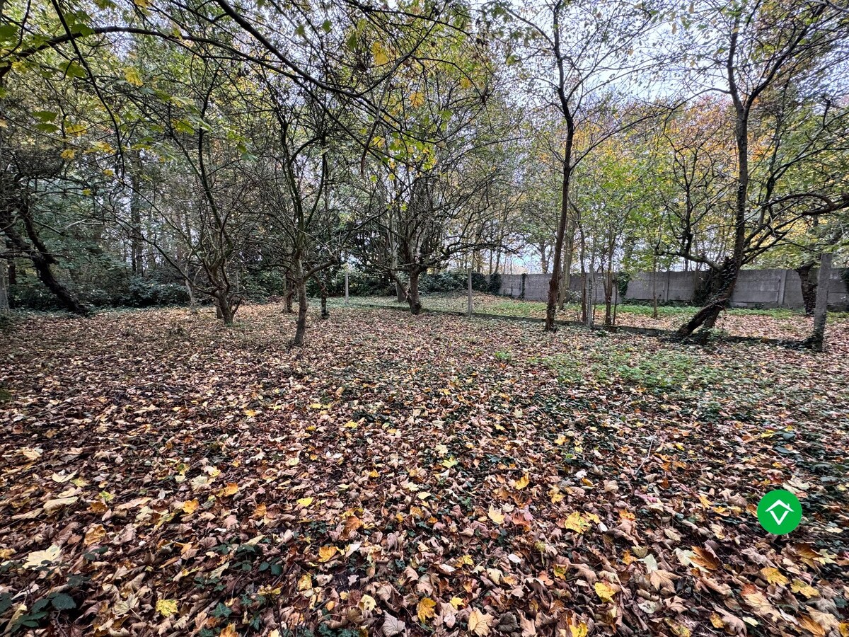 Ruime bungalow op 4140 m² met prachtige zichten en absolute rust in Torhout 