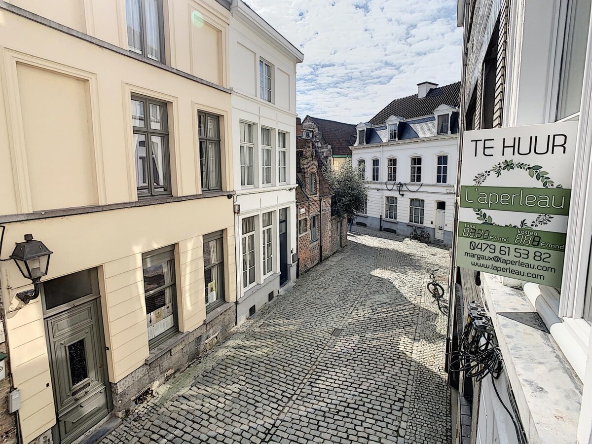 Prachtig gerenoveerd appartement in het pittoreske Patershol 