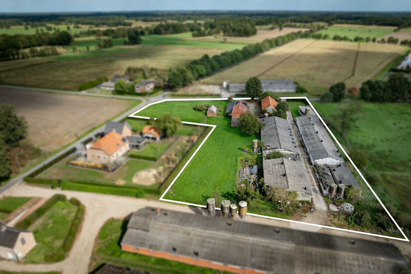 Hoeve met stalgebouwen op ca. 1ha te Bree 