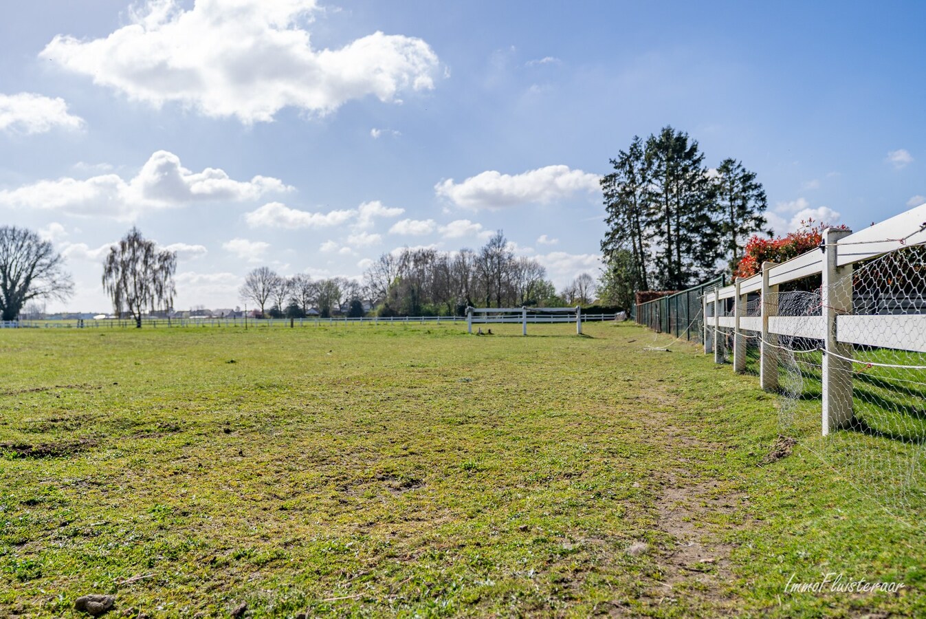 Ruime woning met paardenstallen op ca. 85 are te Kinrooi 