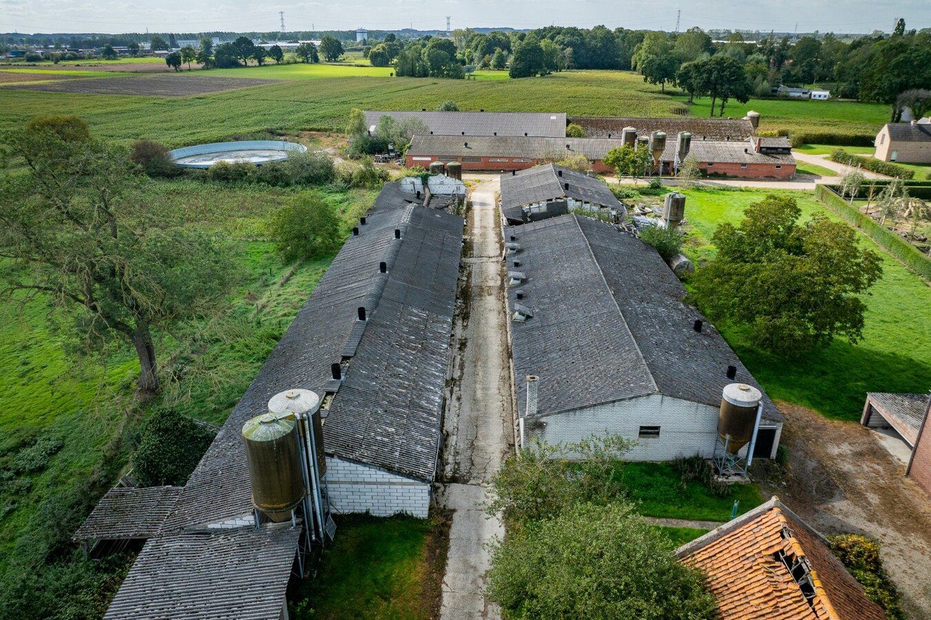 Hoeve met stalgebouwen op ca. 1ha te Bree 