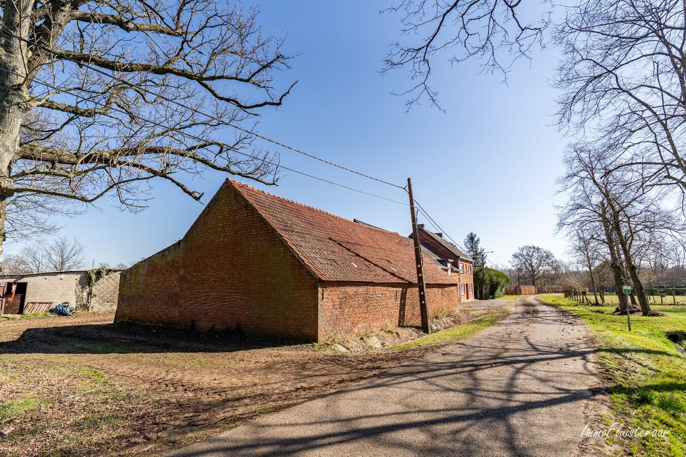 Ruime woning met stalgebouw op ca. 2,9 ha te Meerhout (Optie aankoop ca. 3 ha extra weiland) 