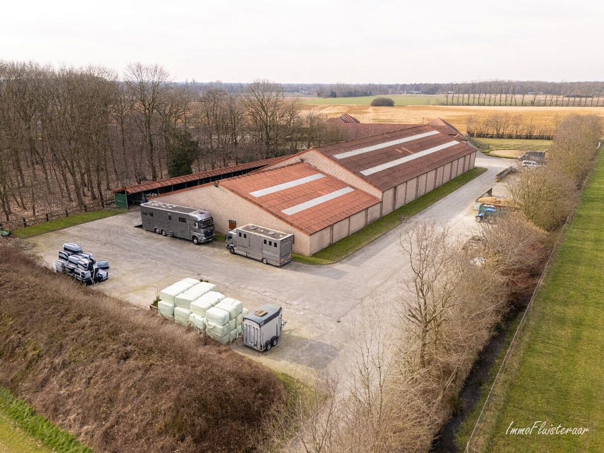 Stoeterij ‘De Roshoeve’ op ca. 5,9 ha te Geel 