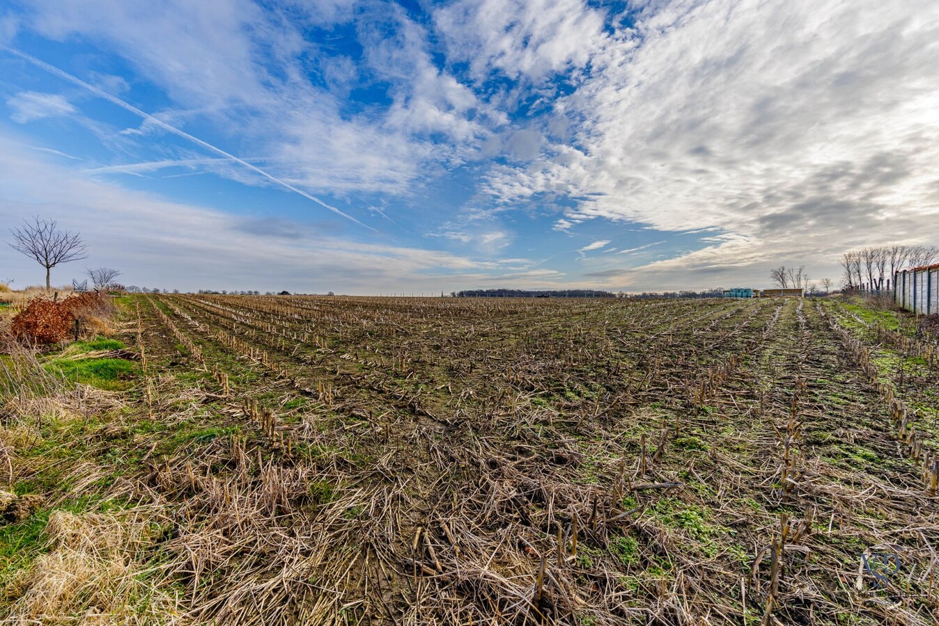 Landelijk gelegen perceel van meer dan 6000 m². 