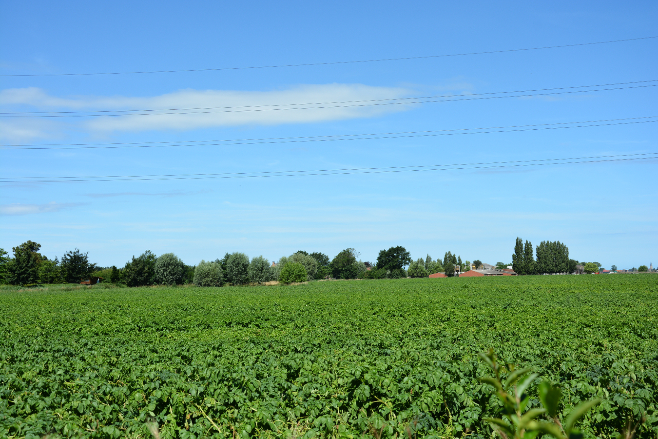 Alleenstaande woning met garage en mooie tuin 