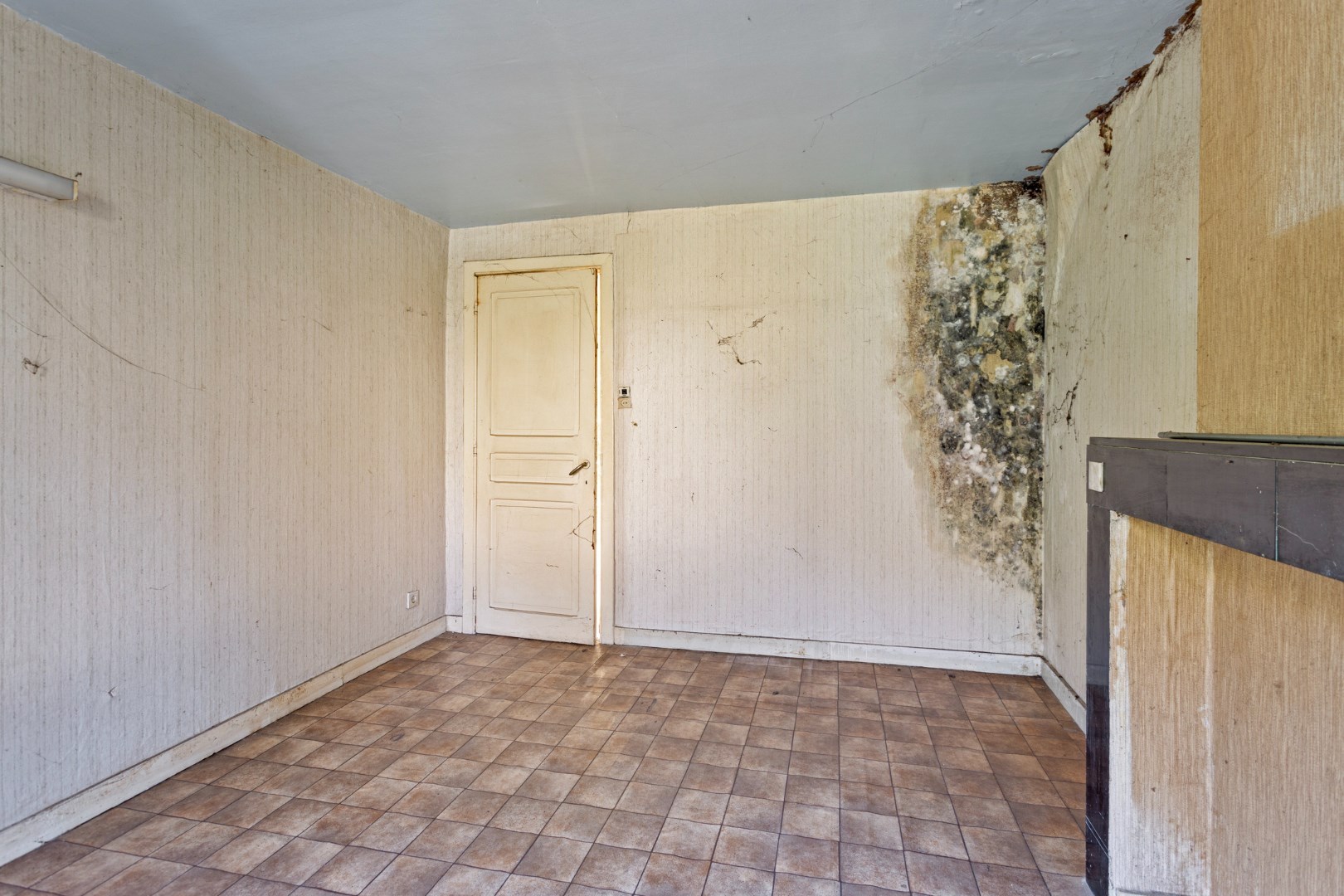 Uniek project: te renoveren woning op een perceel van bijna 1 hectare in Kessel-Lo. 