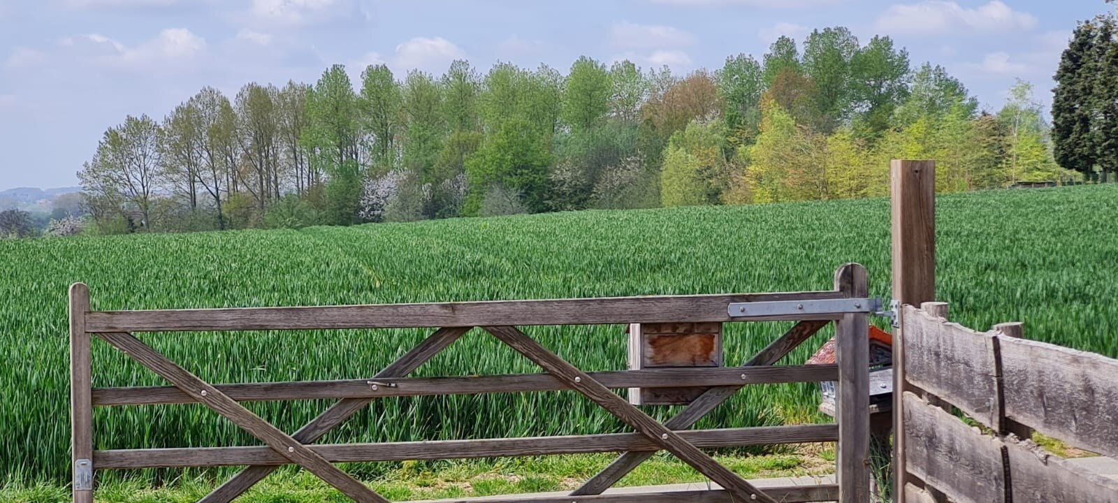 Landelijk gelegen open bebouwing op een uitzonderlijk perceel (1585m²) 