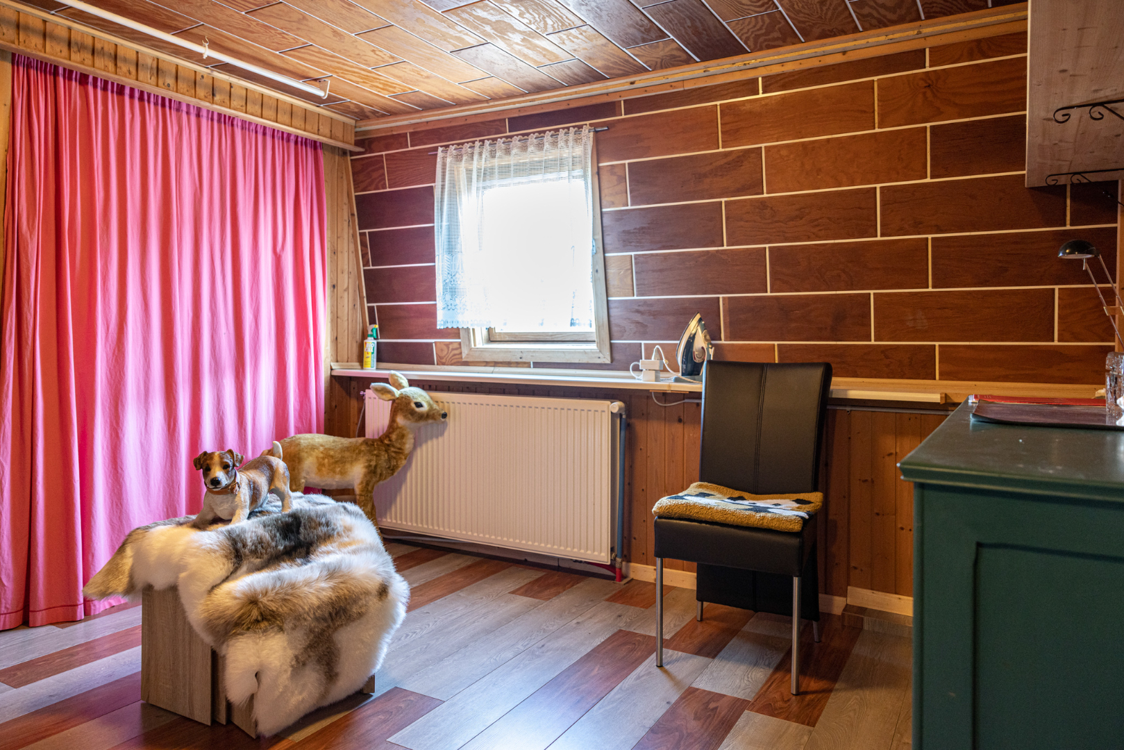 Gerenoveerde woning met 3 slpks, tuin en zicht op de weilanden 