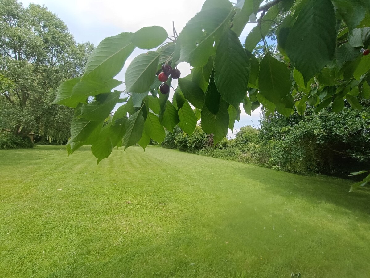 Exceptionnel, les Collines, propriété sur 8900m². 