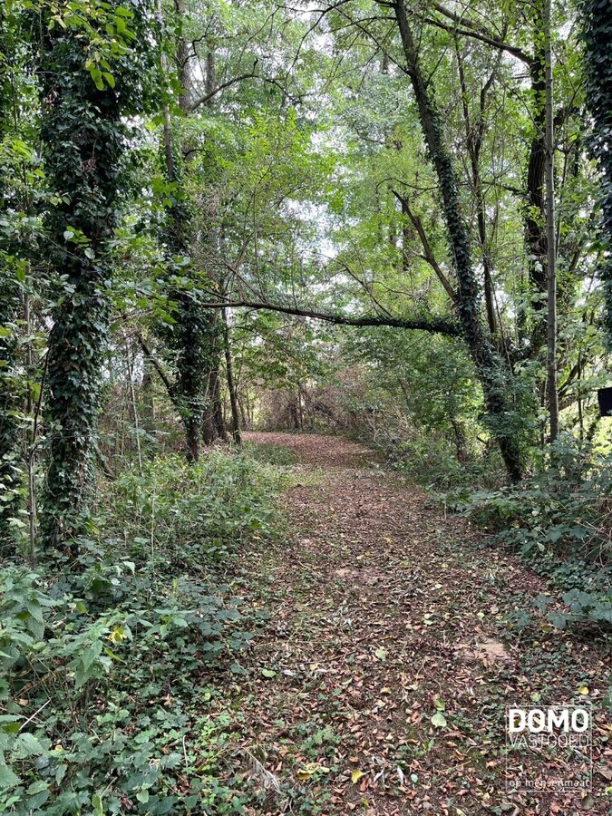 UNIEK DOMEIN MET OFF-GRID VAKANTIEWONING, SCHUUR EN 2 VIJVERS OP 1 HA 41 A 