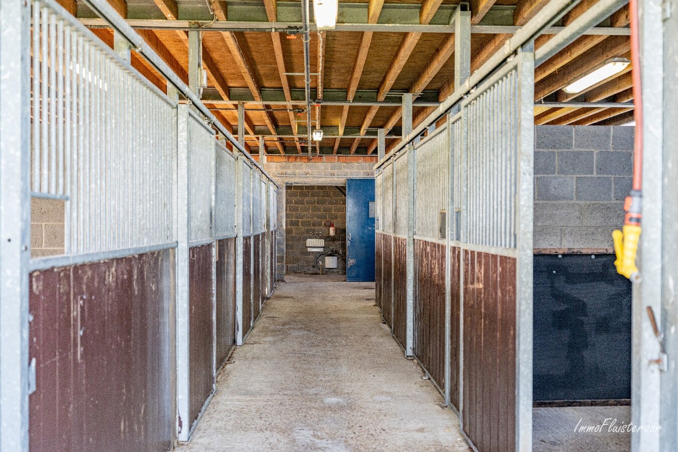 Woning met paardenstallen en buitenpiste op ca. 6,5ha te Bree 