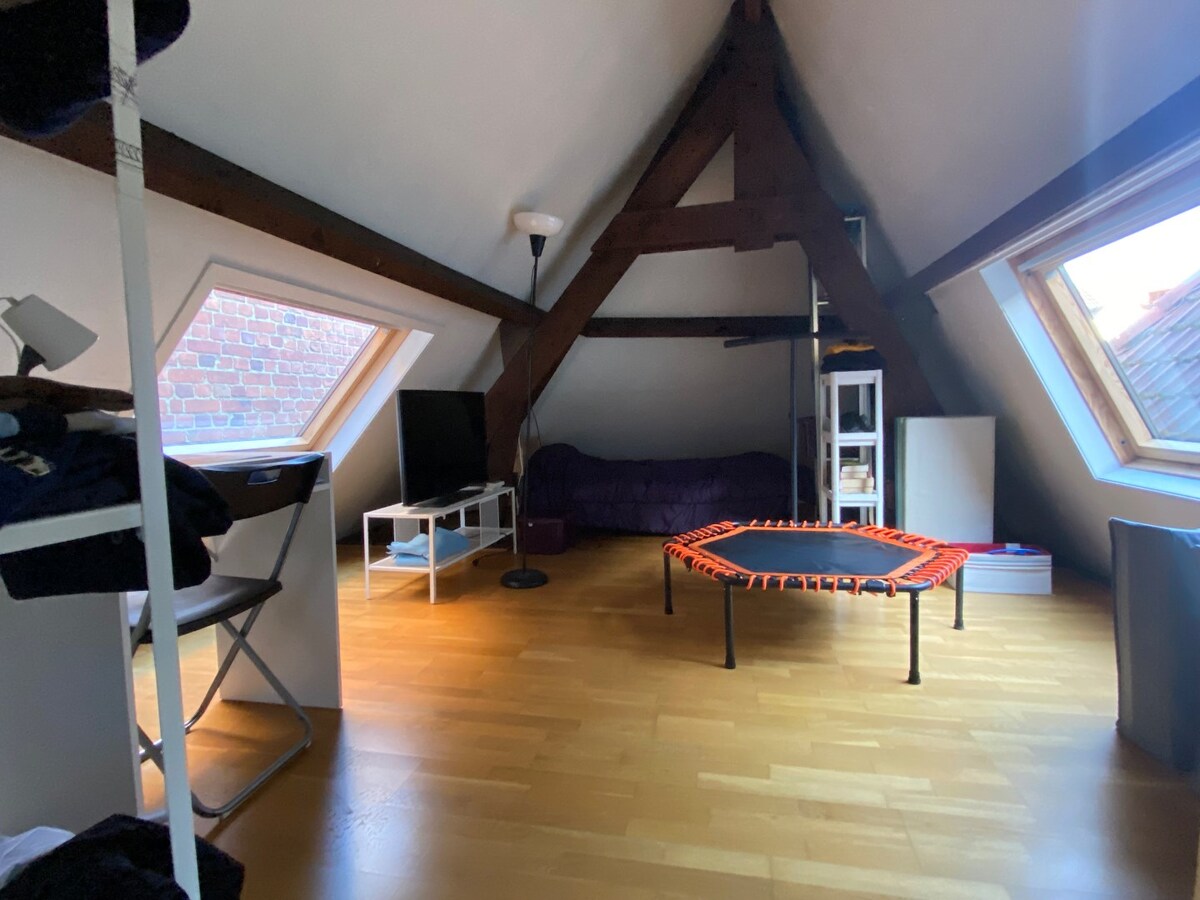 Triplex de 4 chambres en plein coeur de Tournai ! 