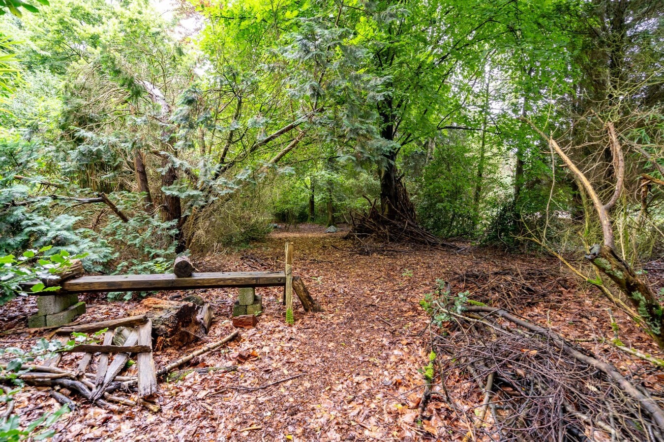 Woning op zeer rustig gelegen en ruim perceel. 