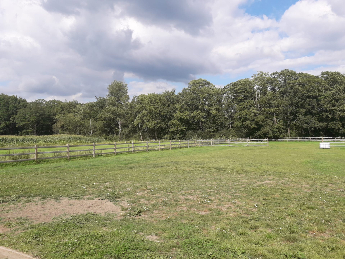Land sold in Retie