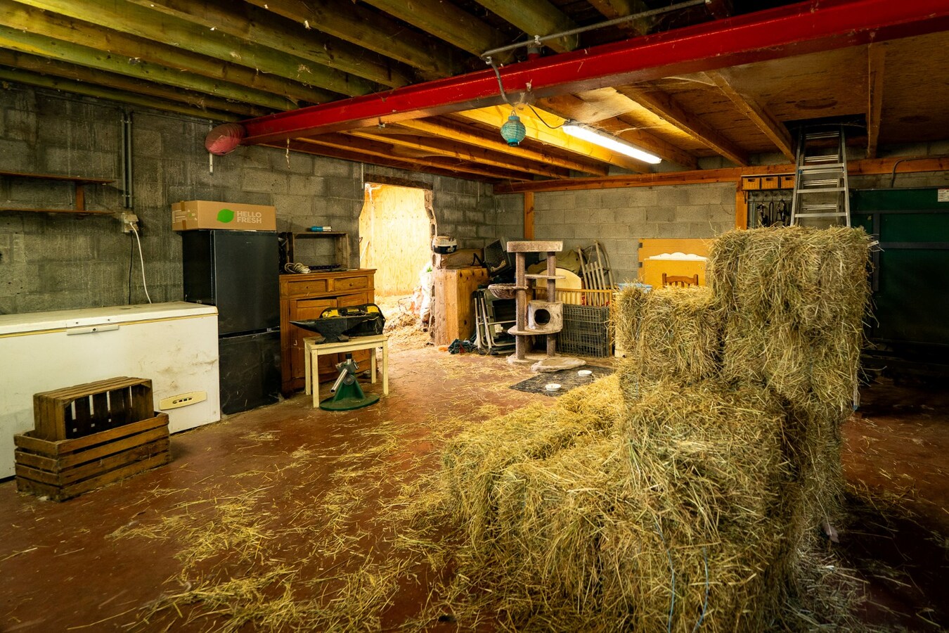 Quietly located house with a meadow of approximately 55 acres in Herk-de-Stad 