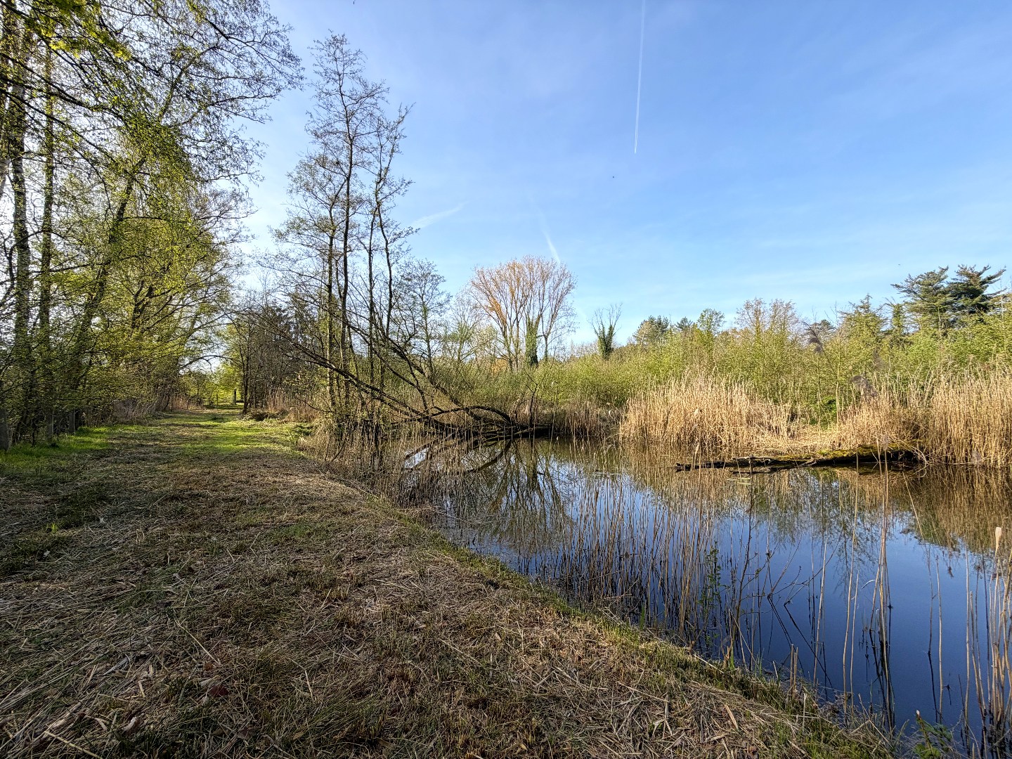 Prachtig perceel met vijvers op unieke ligging in Geel 