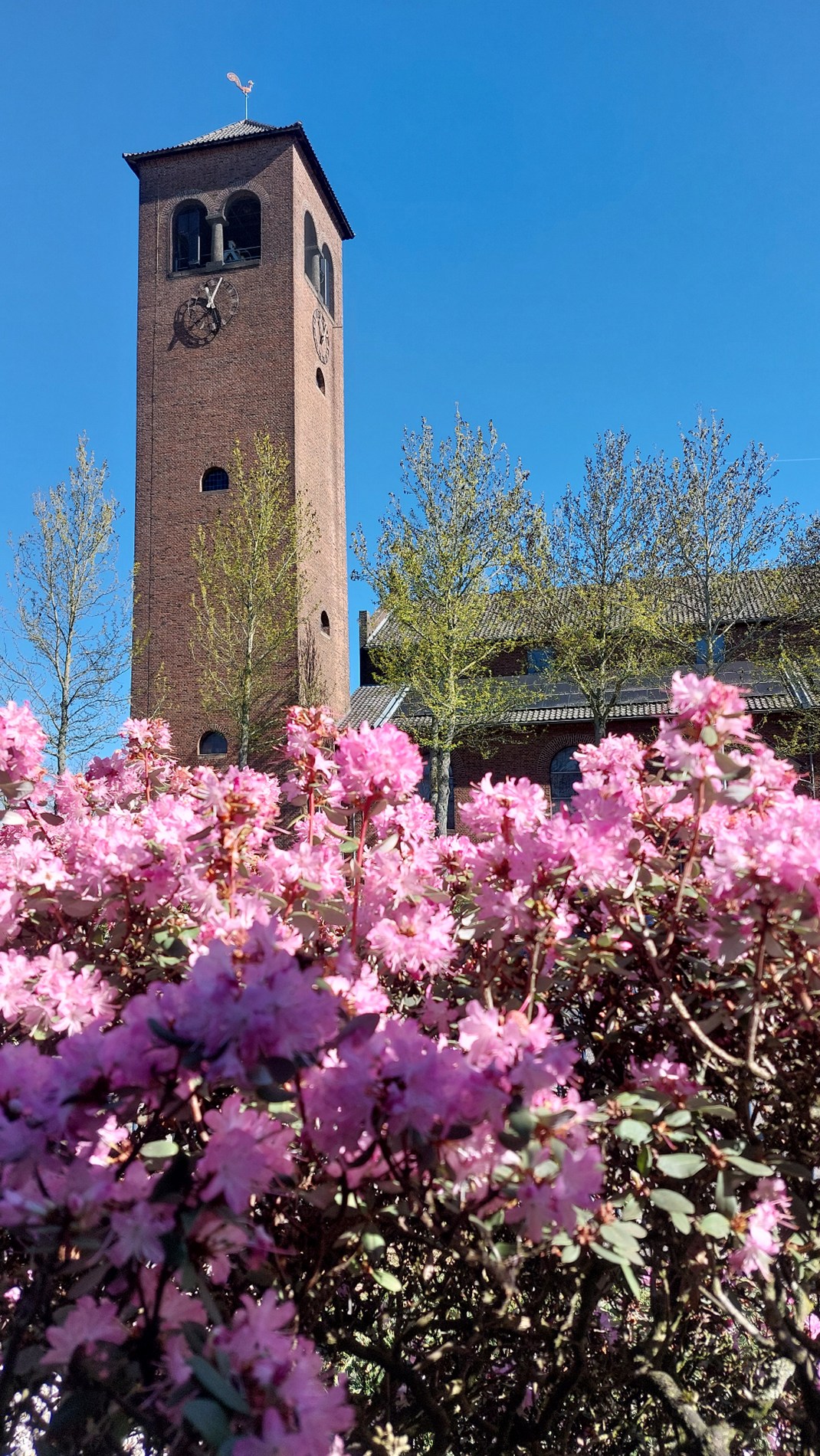 Eengezinswoning te koop in Weert